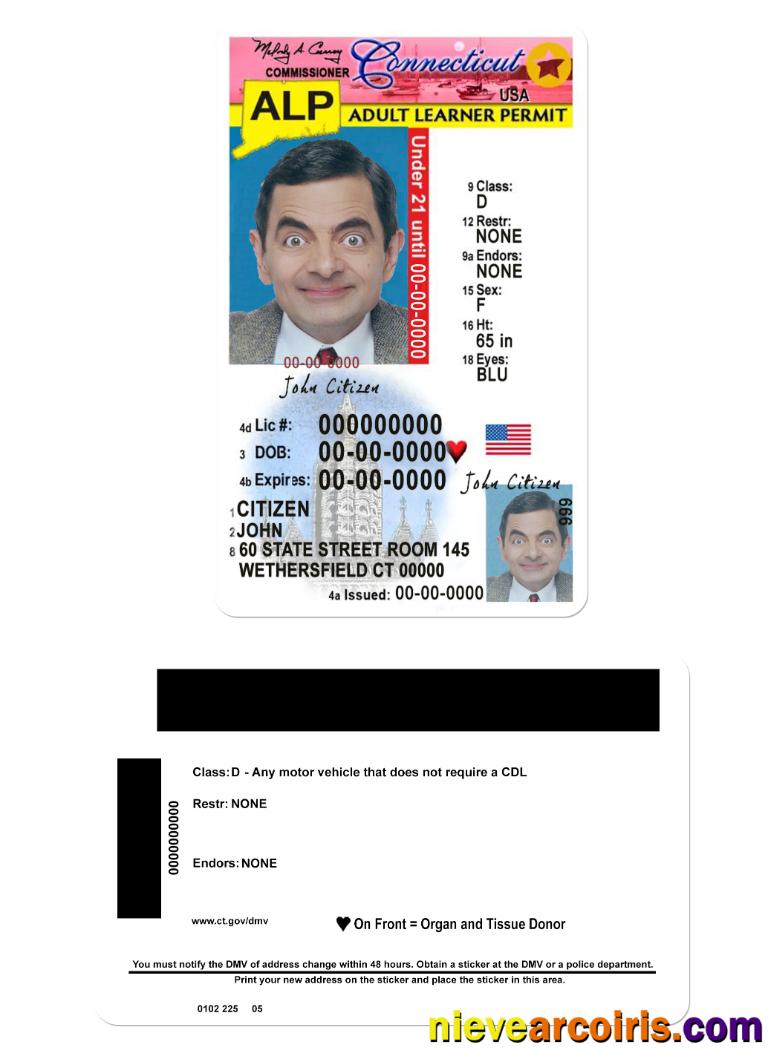 USA Connecticut driving license
